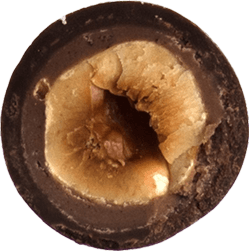 Hazelnut